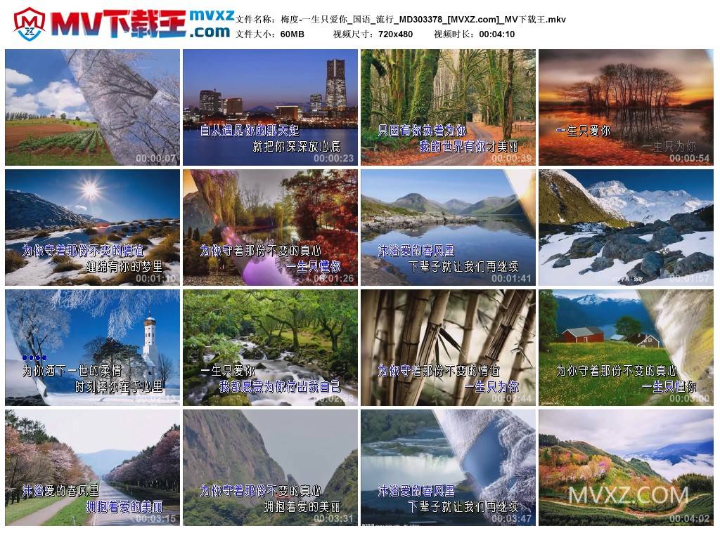 梅度-一生只爱你_国语_流行_MD303378